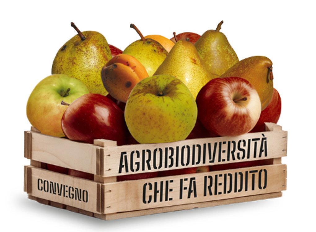 Scopri di più sull'articolo Convegno Agriumbria 2026 – Agrobiodiversità che fa reddito: quando la biodiversità diventa vantaggio competitivo per le aziende agricole