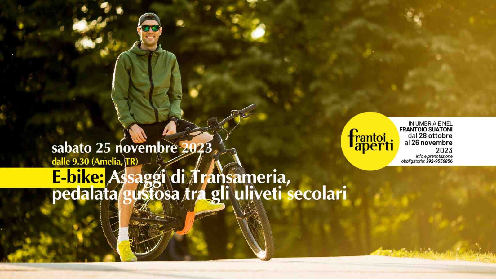 Passeggiata in e-bike transameria durante Frantoi Aperti lungo gli uliveti secolari del Rajo