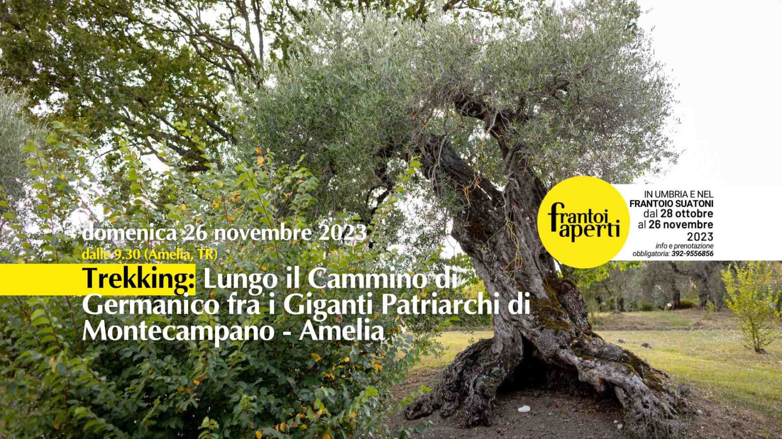 frantoi aperti 2023 - trekking-lungo-il-cammino-di-germanico